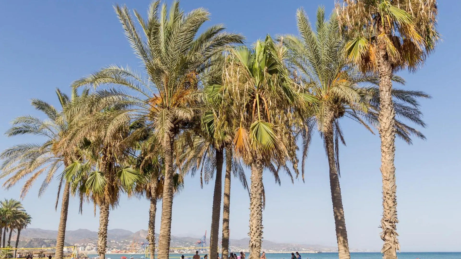 Estudio A 200 Metros De La Playa Málaga Appartamento
